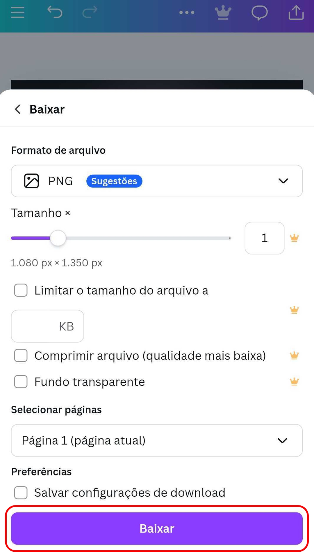Opções de Exportação