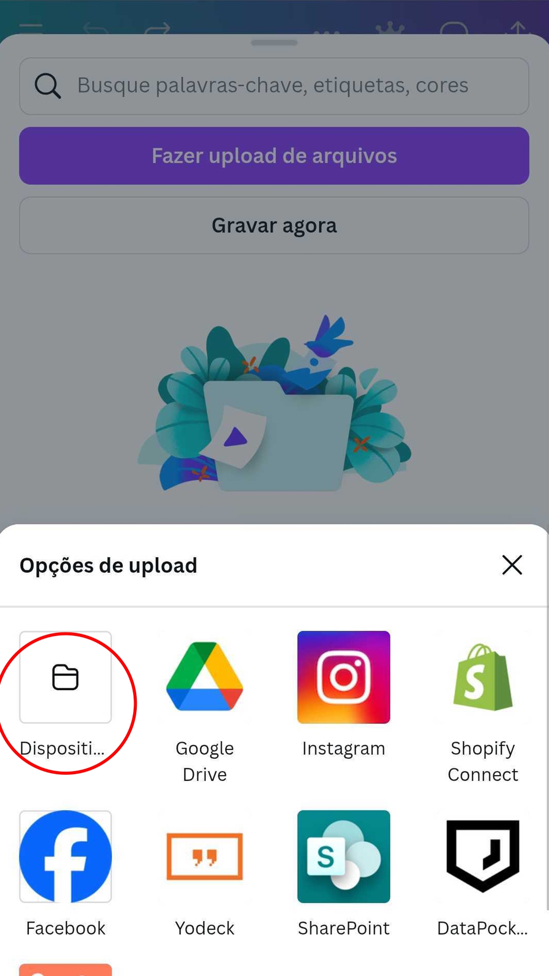 Opções de Upload
